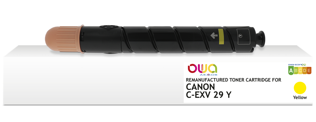 CEXV29Y