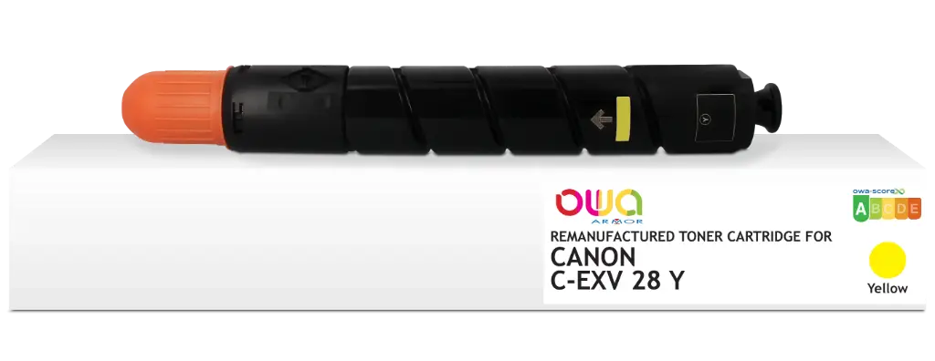 CEXV28Y