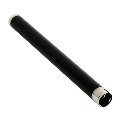 [AE011131] AE011131