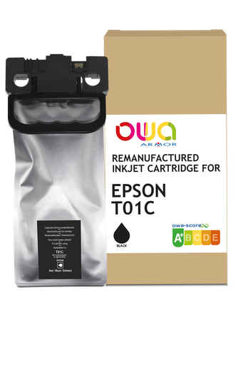 [R-C13T01C100] C13T01C100