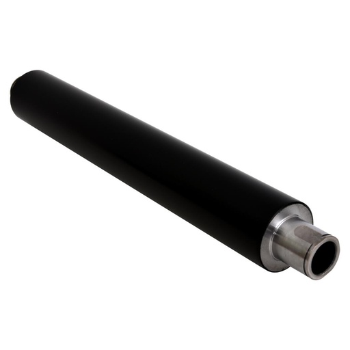 [AE011044] AE011044