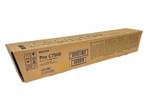 [828652] 828652